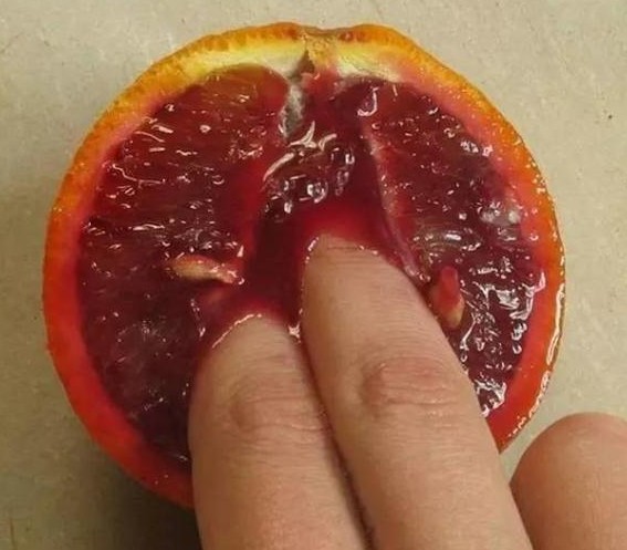 조ˮǿ鷸