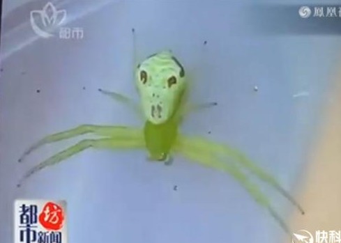  Сץ"" ֩룺