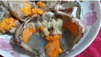 ڵĳɰ