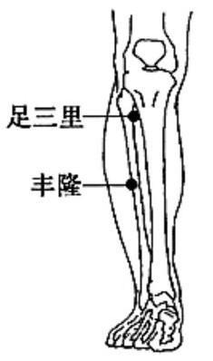 丰隆穴的准确位置图