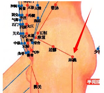 环跳穴