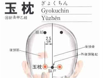 玉枕穴