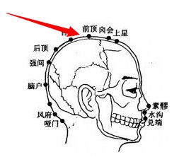 前顶穴位