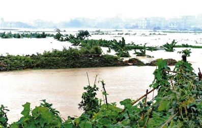 新乡降雨破纪录6小时降雨量突破历史极值