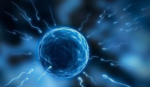 精子常规检查正常值