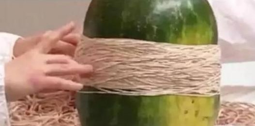 700根皮筋勒西瓜
