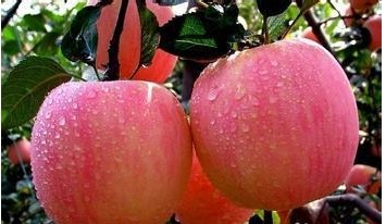 ϻʹʲô