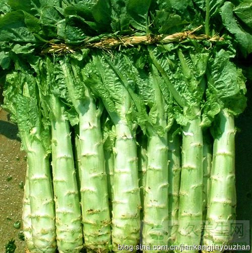 ļϻ-Ȳݰݫ