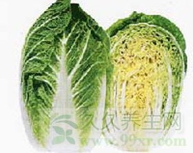 白菜 白菜