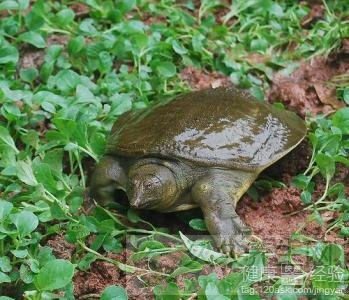 第1步